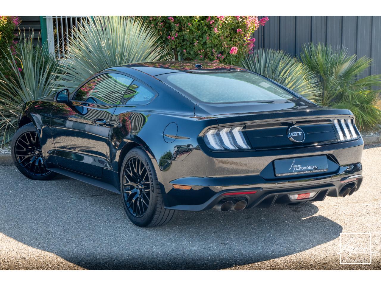 Photo FORD MUSTANG Fastback GT 5.0 V8 - 450 ch - BVM6 - Recaro - à partir de 724 euros