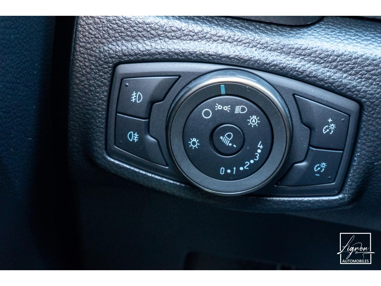 Photo FORD RANGER Raptor 2.0 EcoBlue - 213 - BVA10 - à partir de 340 euros