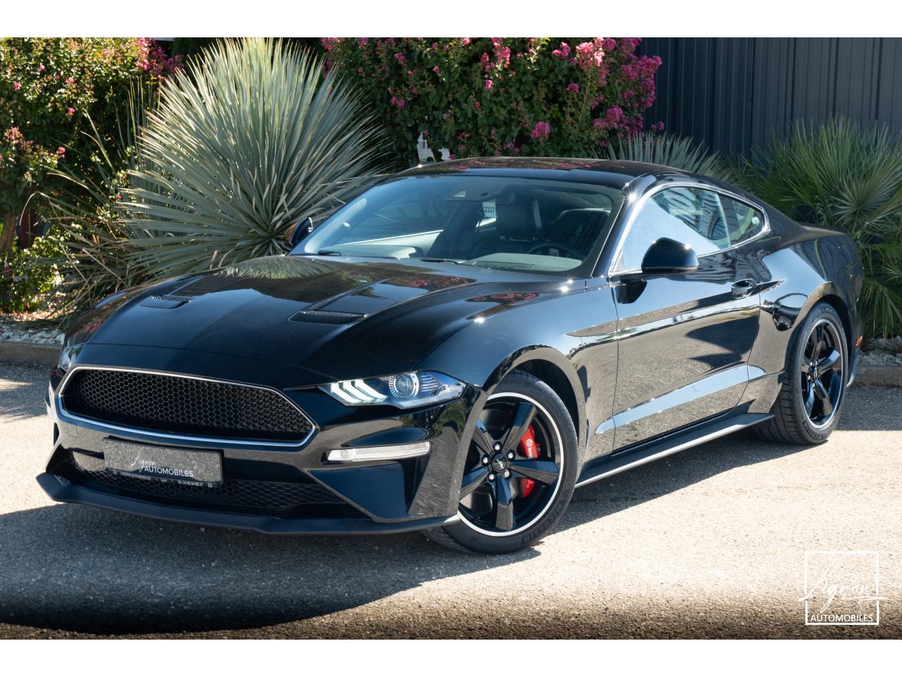 FORD MUSTANG Bullitt Fastback 5.0 V8 - 460 - 1er Main - à partir de 737 euros