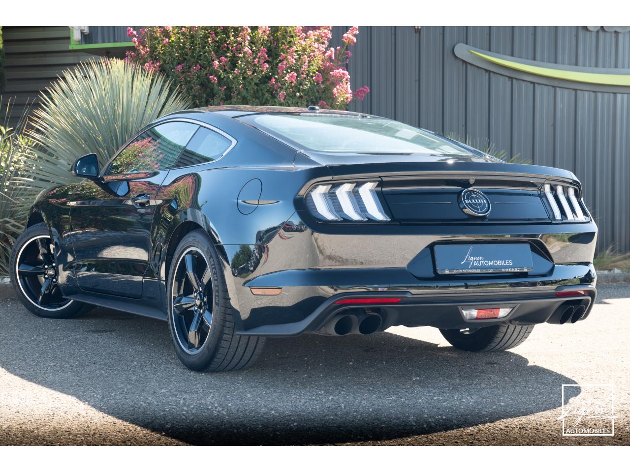 Photo FORD MUSTANG Bullitt Fastback 5.0 V8 - 460 - 1er Main - à partir de 737 euros
