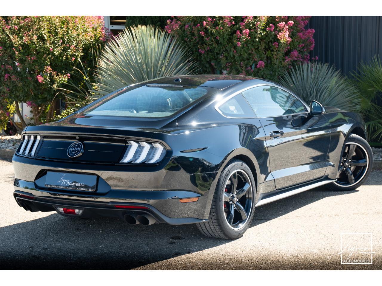 Photo FORD MUSTANG Bullitt Fastback 5.0 V8 - 460 - 1er Main - à partir de 737 euros