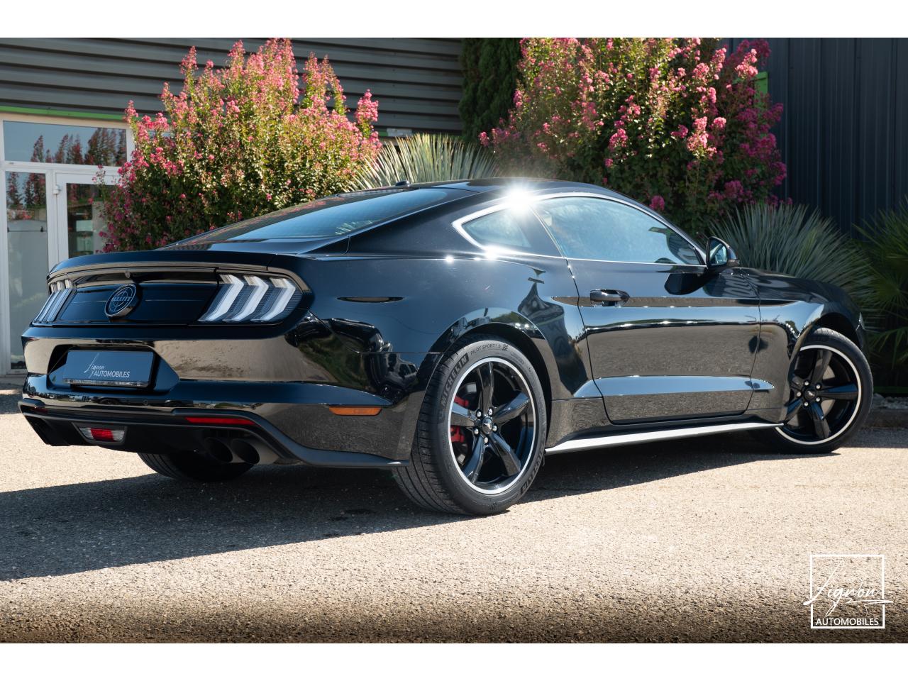 Photo FORD MUSTANG Bullitt Fastback 5.0 V8 - 460 - 1er Main - à partir de 737 euros