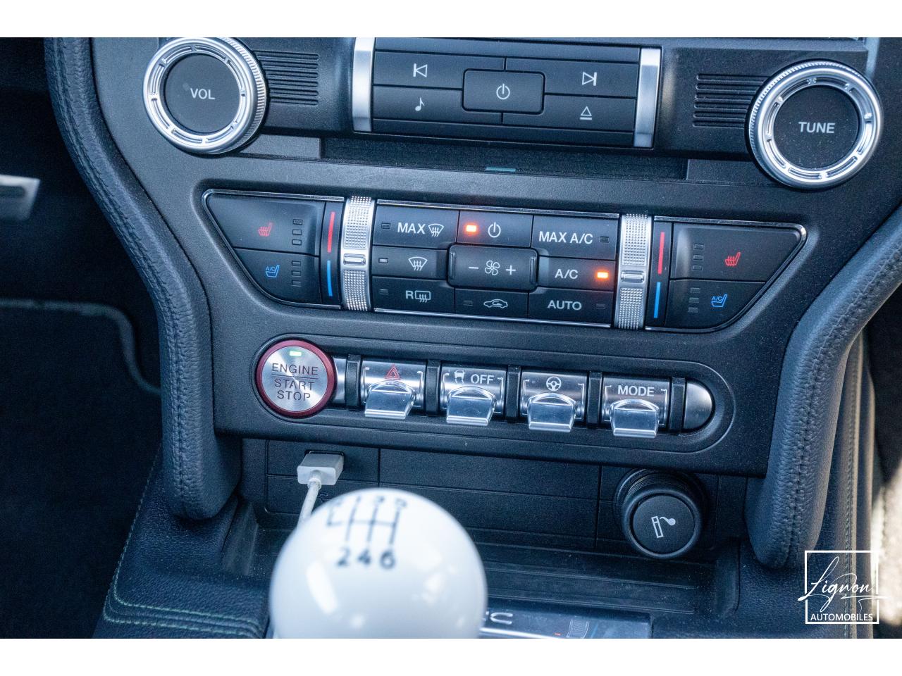 Photo FORD MUSTANG Bullitt Fastback 5.0 V8 - 460 - 1er Main - à partir de 737 euros