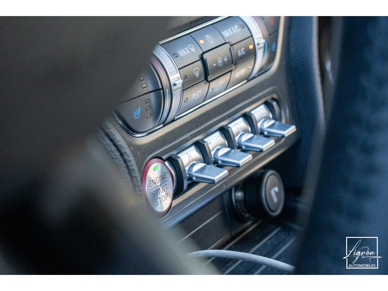 Photo FORD MUSTANG Bullitt Fastback 5.0 V8 - 460 - 1er Main - à partir de 737 euros