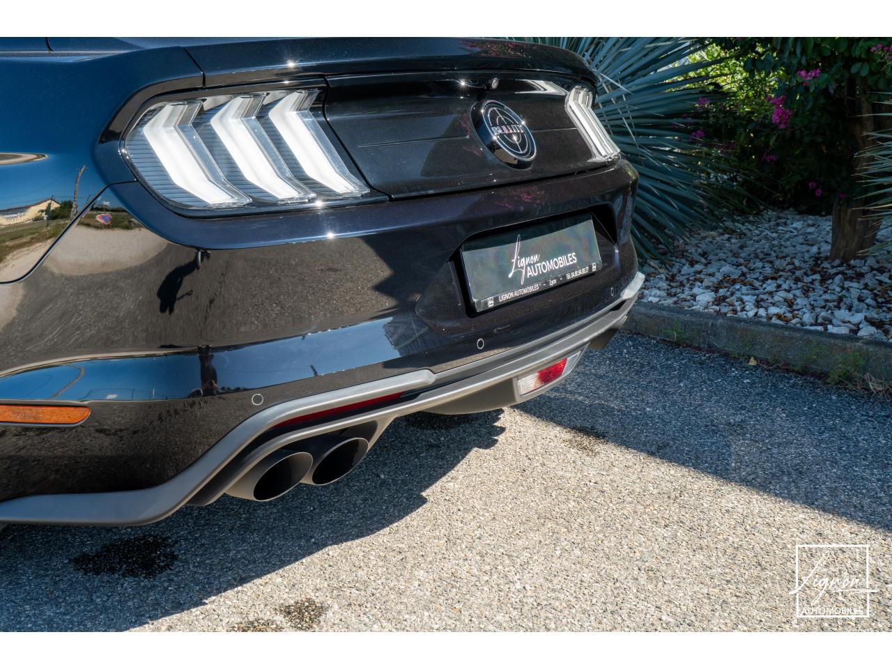 Photo FORD MUSTANG Bullitt Fastback 5.0 V8 - 460 - 1er Main - à partir de 737 euros