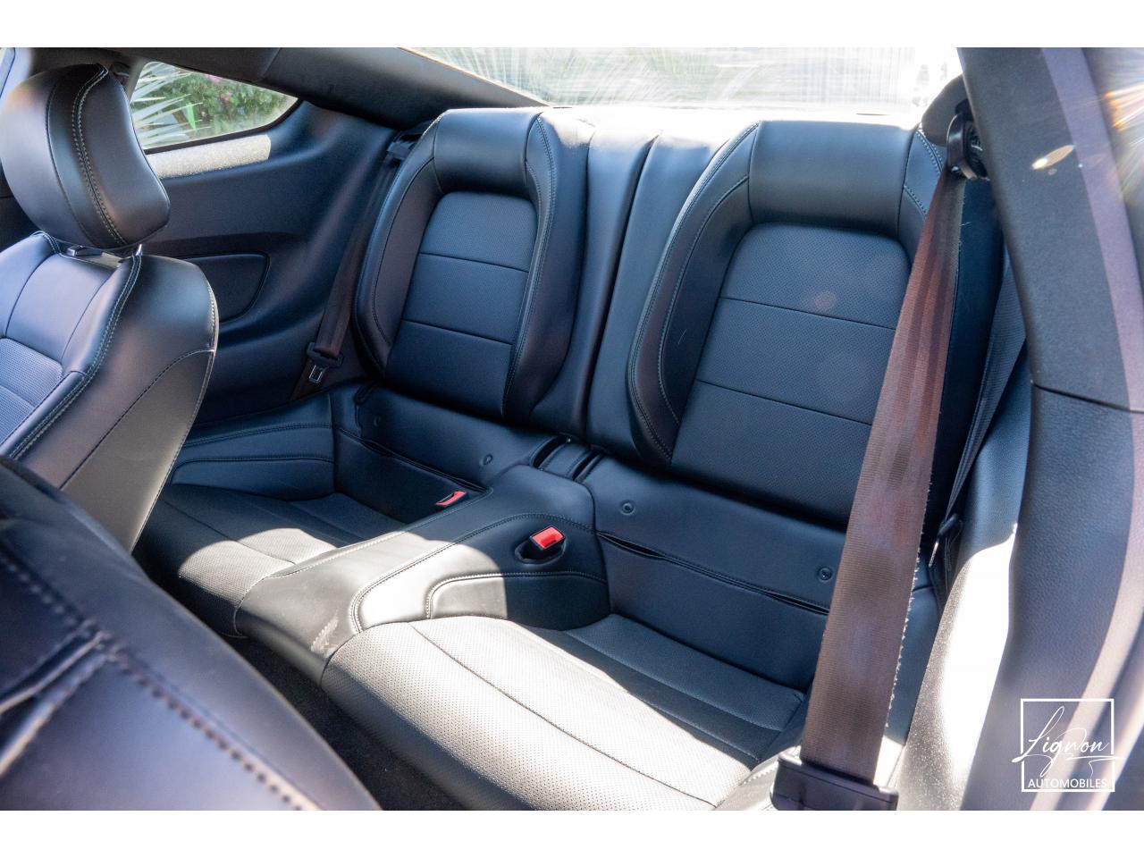 Photo FORD MUSTANG Bullitt Fastback 5.0 V8 - 460 - 1er Main - à partir de 737 euros