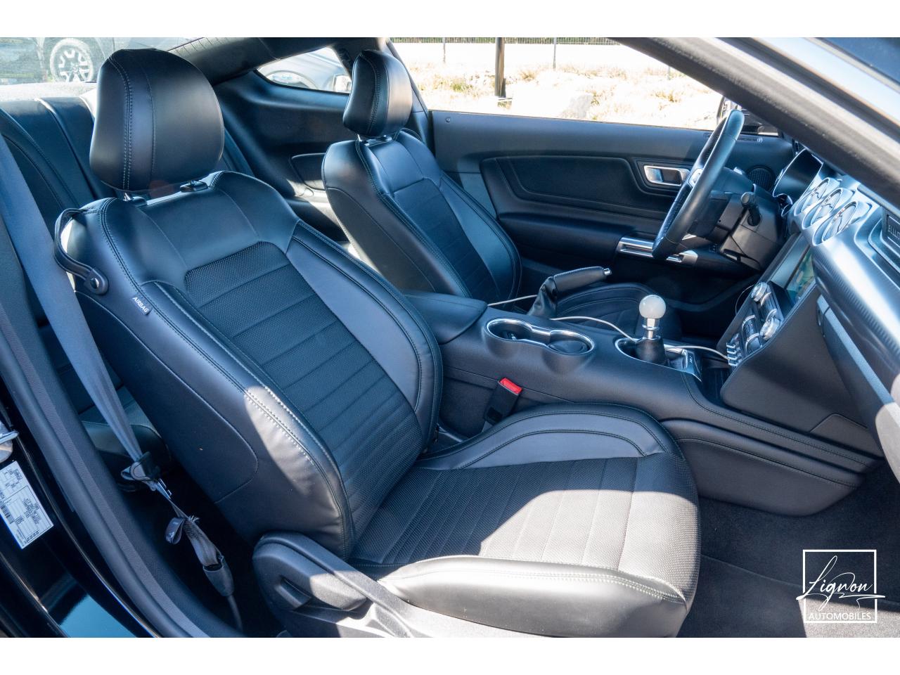 Photo FORD MUSTANG Bullitt Fastback 5.0 V8 - 460 - 1er Main - à partir de 737 euros