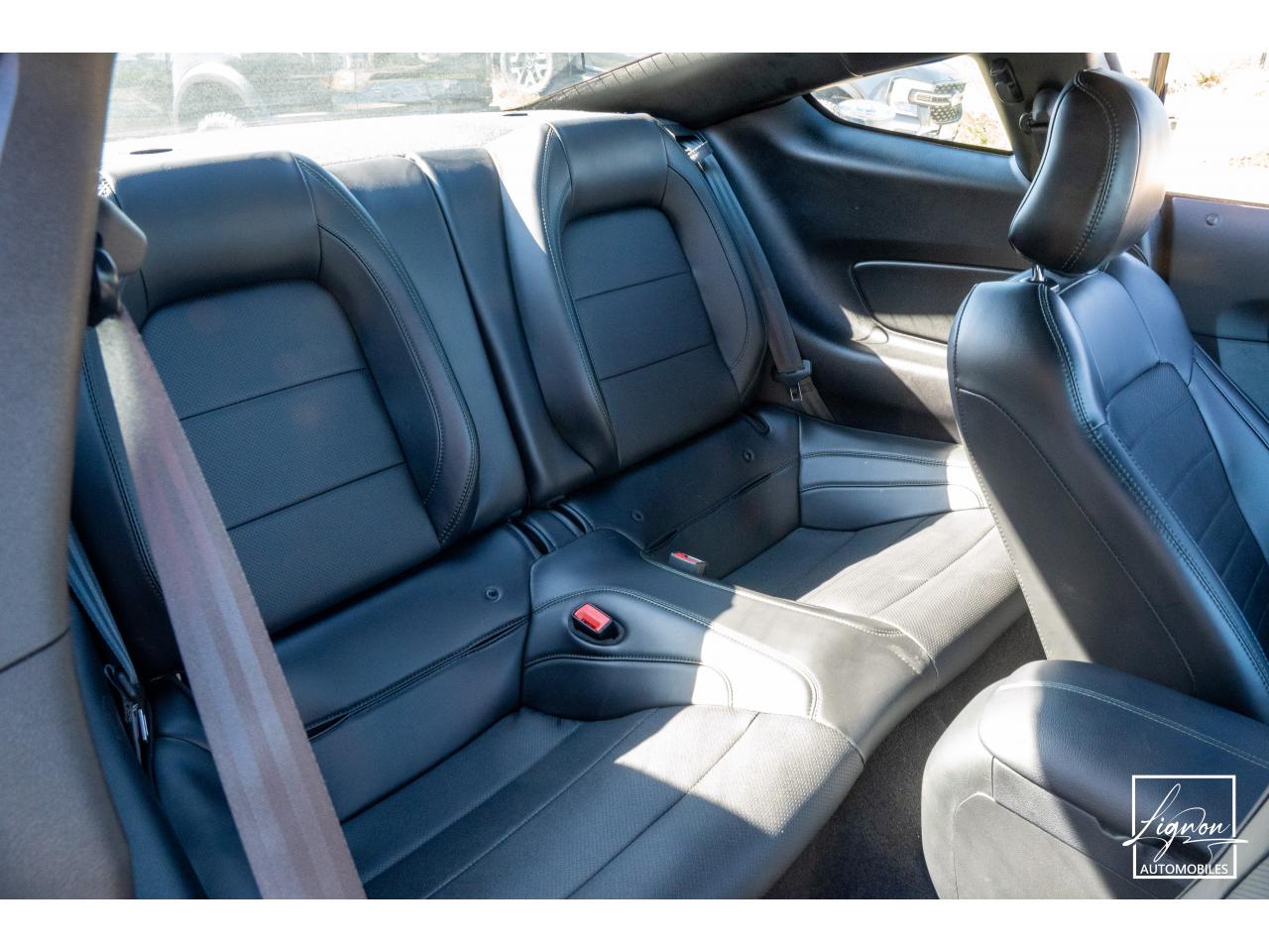 Photo FORD MUSTANG Bullitt Fastback 5.0 V8 - 460 - 1er Main - à partir de 737 euros