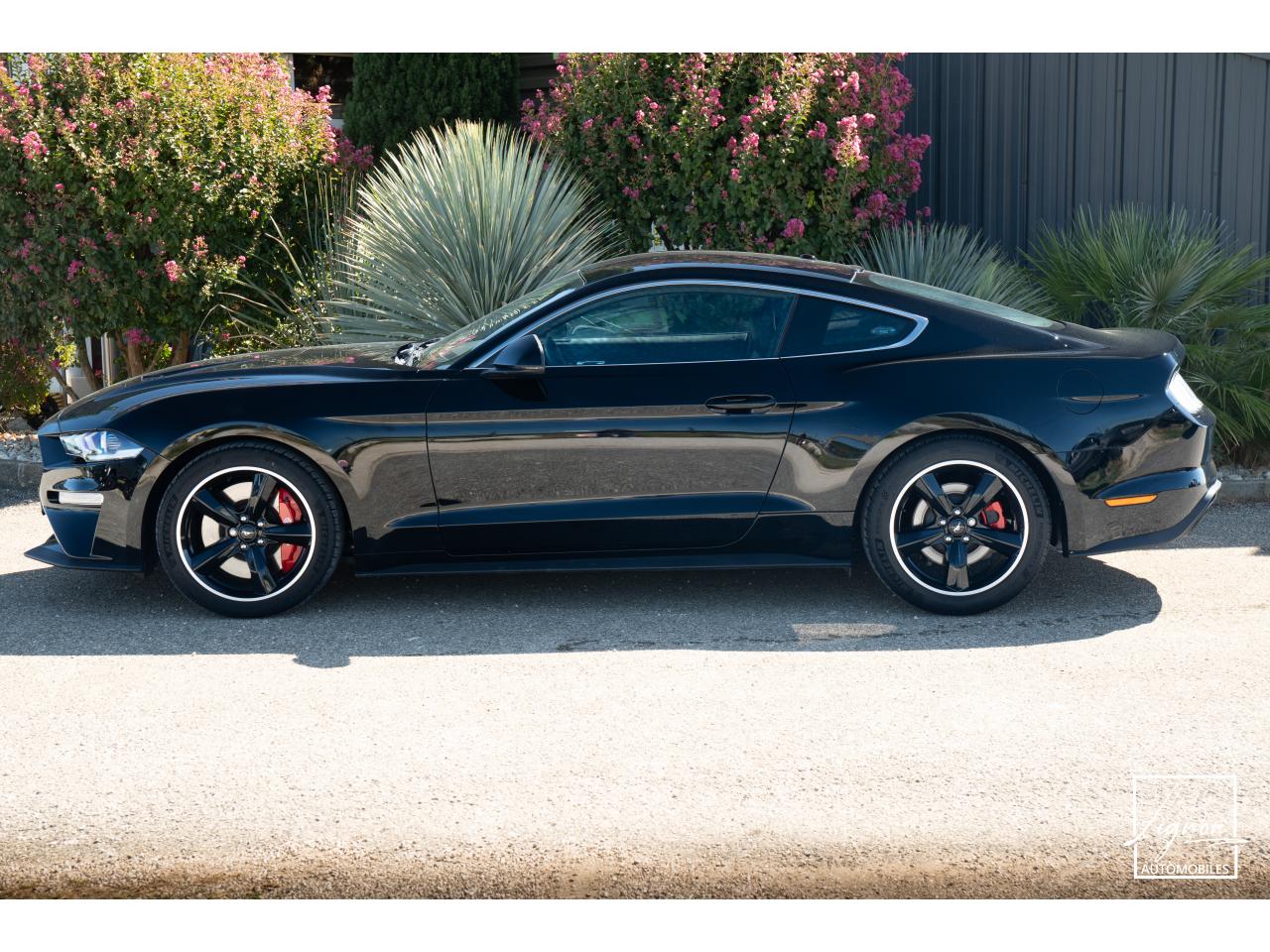 FORD MUSTANG Bullitt Fastback 5.0 V8 - 460 - 1er Main - à partir de 737 euros