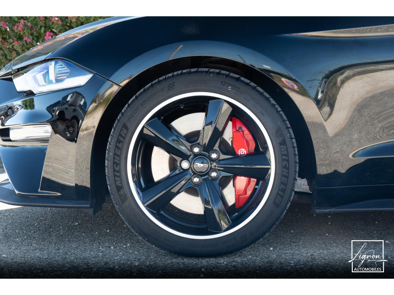 Photo FORD MUSTANG Bullitt Fastback 5.0 V8 - 460 - 1er Main - à partir de 737 euros