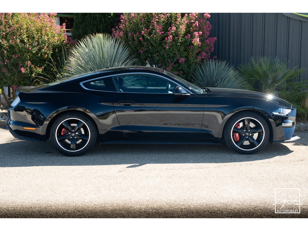 Photo FORD MUSTANG Bullitt Fastback 5.0 V8 - 460 - 1er Main - à partir de 737 euros
