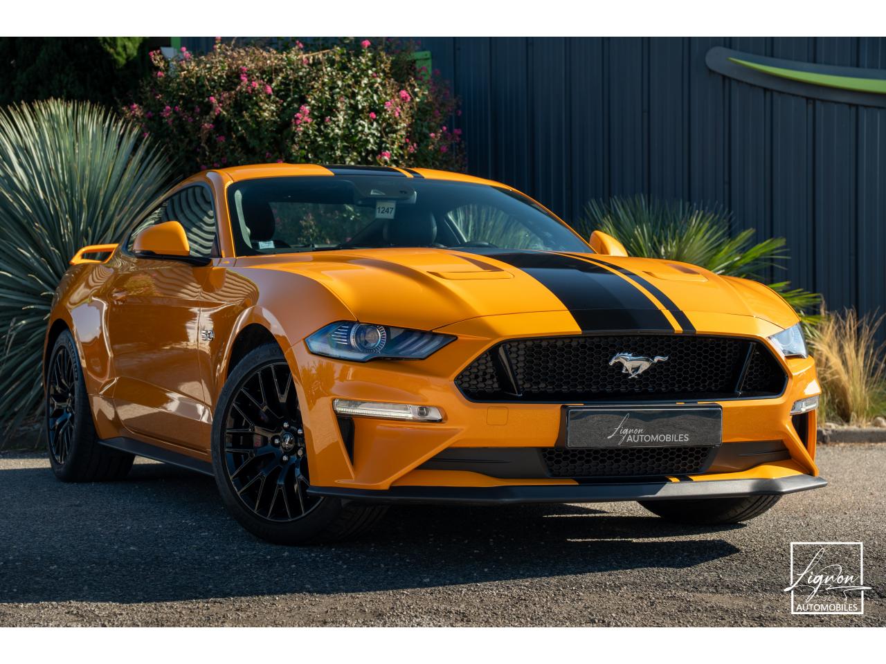 Photo FORD MUSTANG Fastback GT 5.0L V8 450CH BVM Fury B&O - 7.500km - PAS DE MALUS - à partir de 755 euros