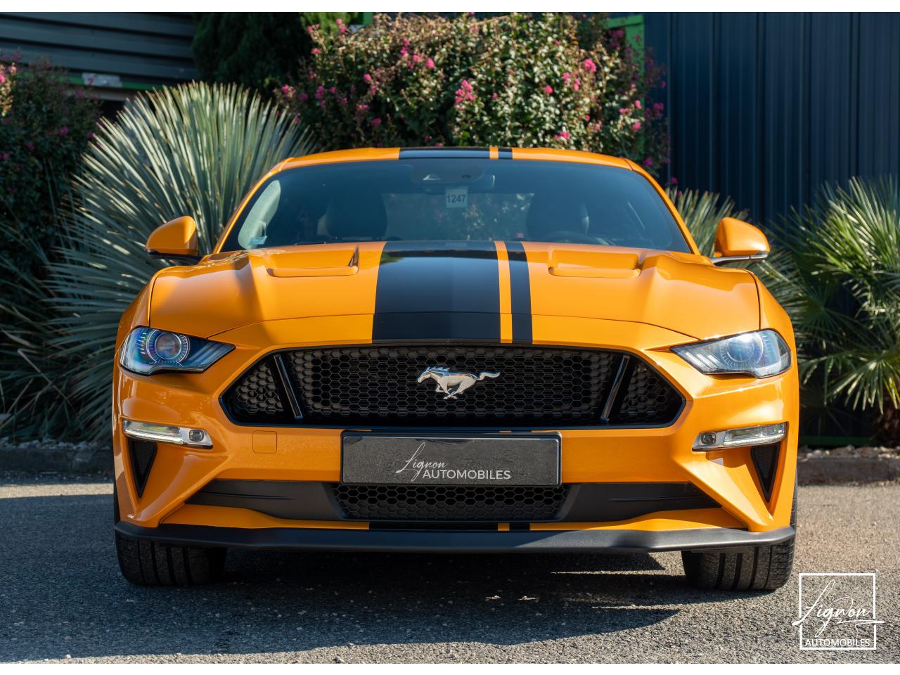 Photo FORD MUSTANG Fastback GT 5.0L V8 450CH BVM Fury B&O - 7.500km - PAS DE MALUS - à partir de 755 euros