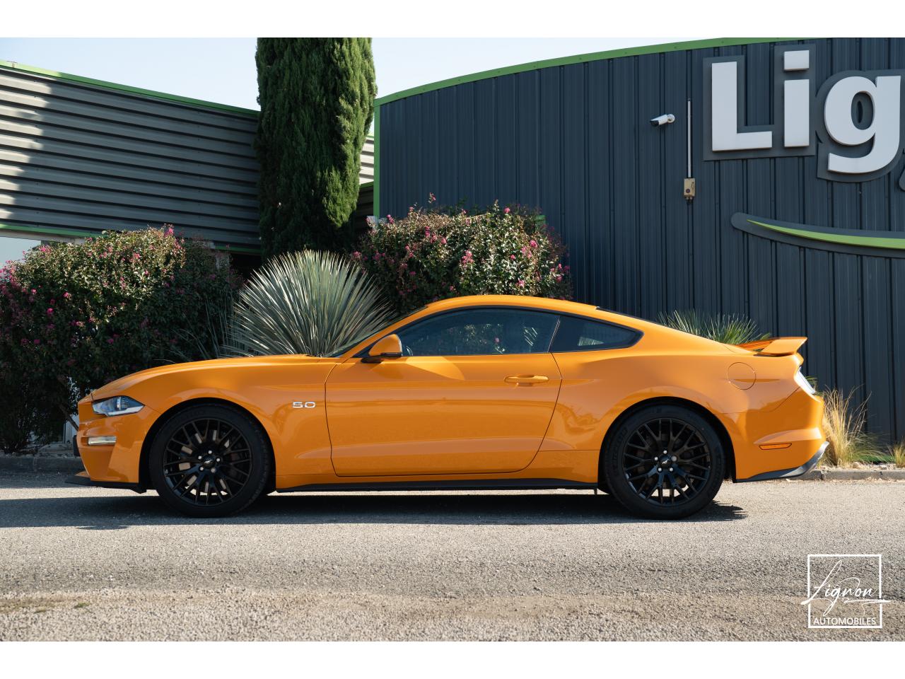 Photo FORD MUSTANG Fastback GT 5.0L V8 450CH BVM Fury B&O - 7.500km - PAS DE MALUS - à partir de 755 euros