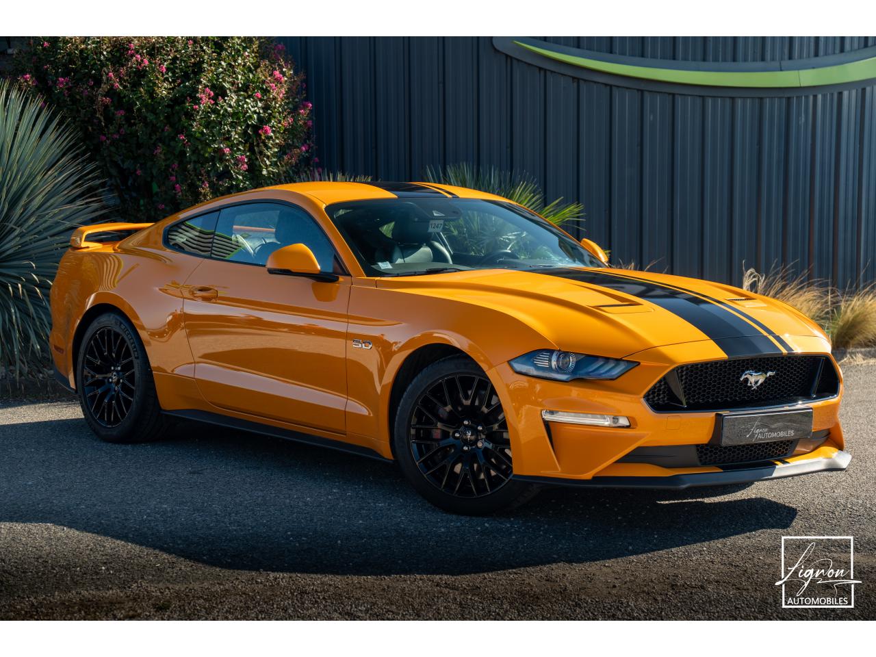 Photo FORD MUSTANG Fastback GT 5.0L V8 450CH BVM Fury B&O - 7.500km - PAS DE MALUS - à partir de 755 euros