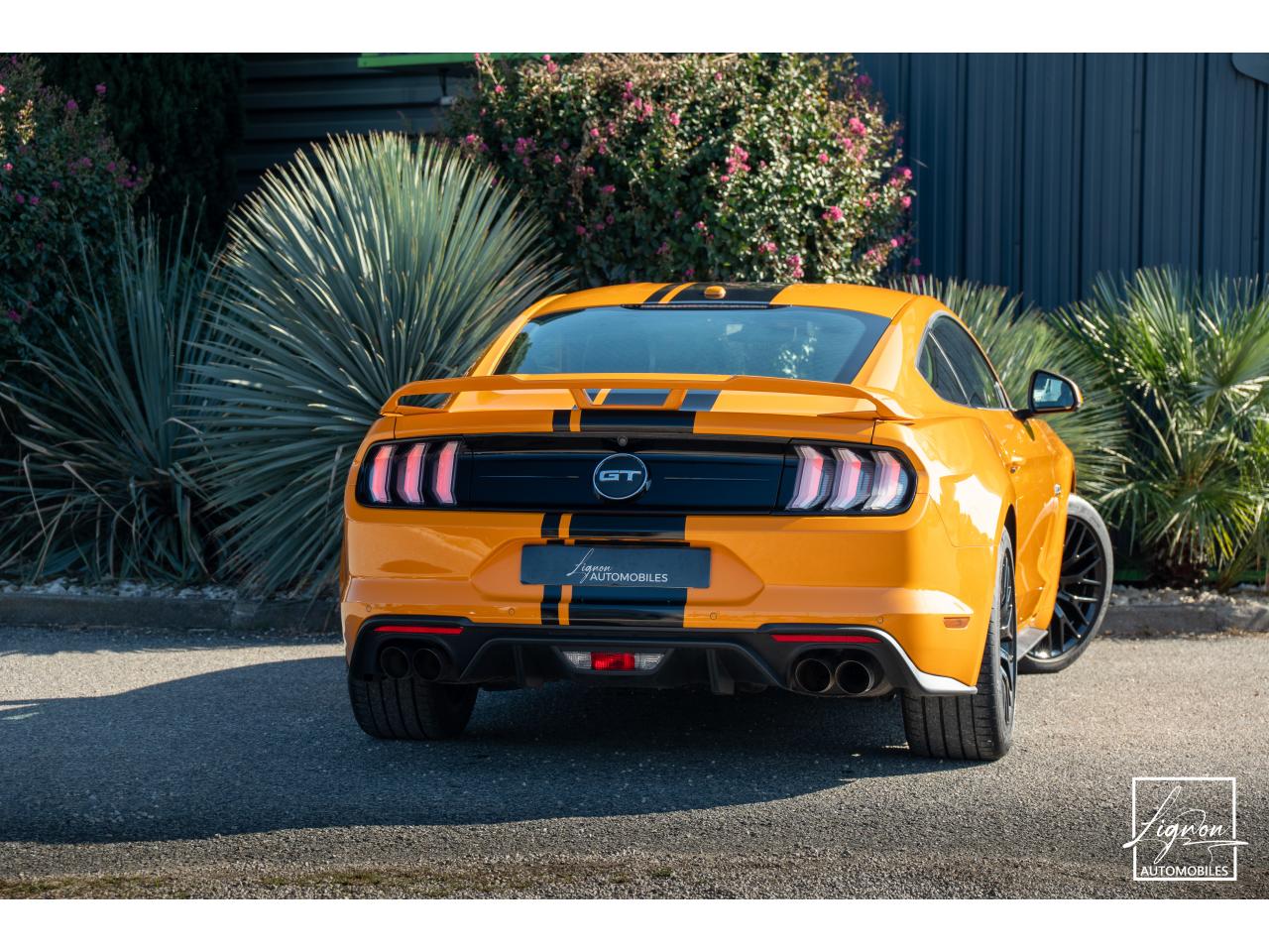 Photo FORD MUSTANG Fastback GT 5.0L V8 450CH BVM Fury B&O - 7.500km - PAS DE MALUS - à partir de 755 euros