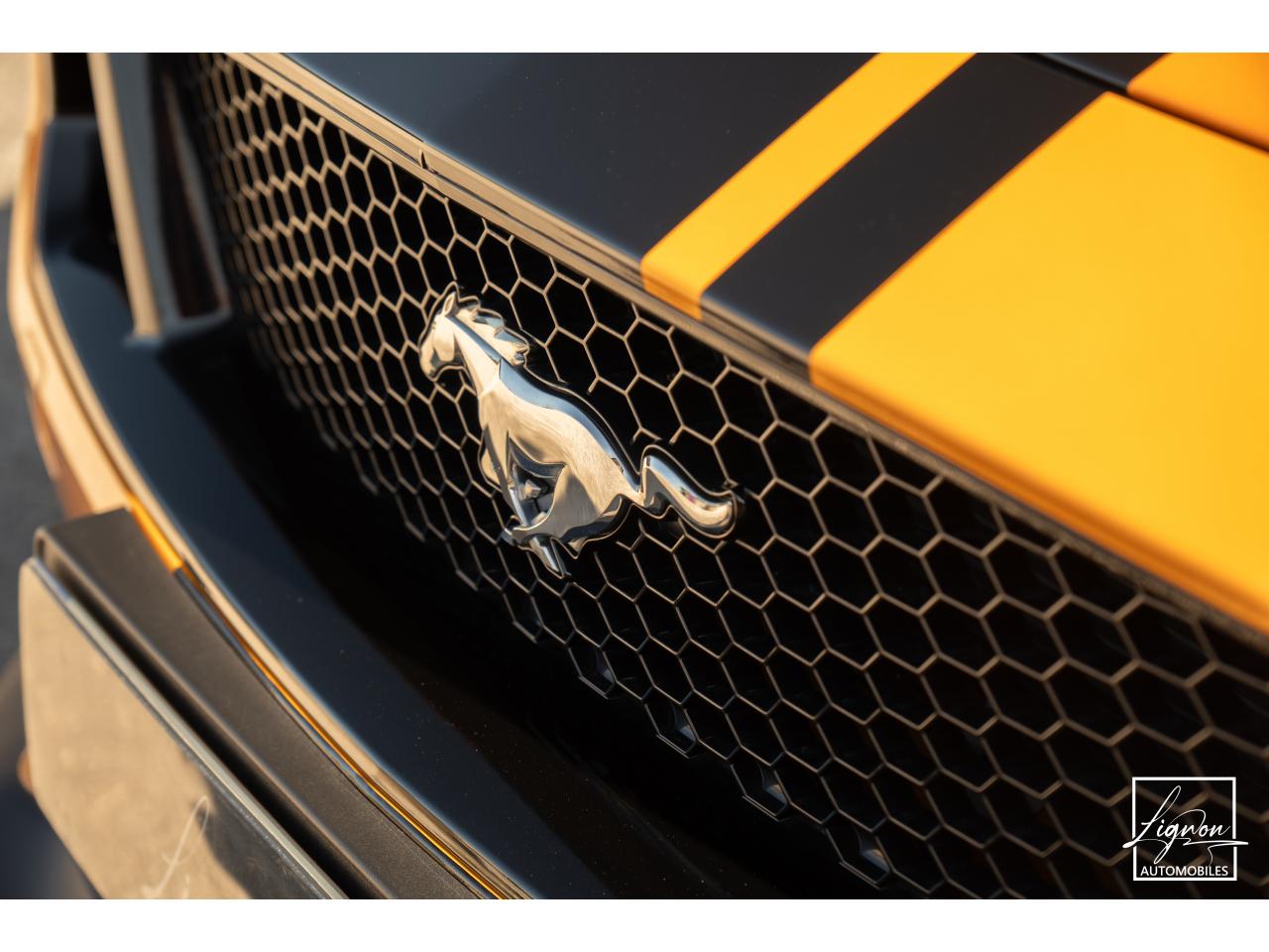Photo FORD MUSTANG Fastback GT 5.0L V8 450CH BVM Fury B&O - 7.500km - PAS DE MALUS - à partir de 755 euros