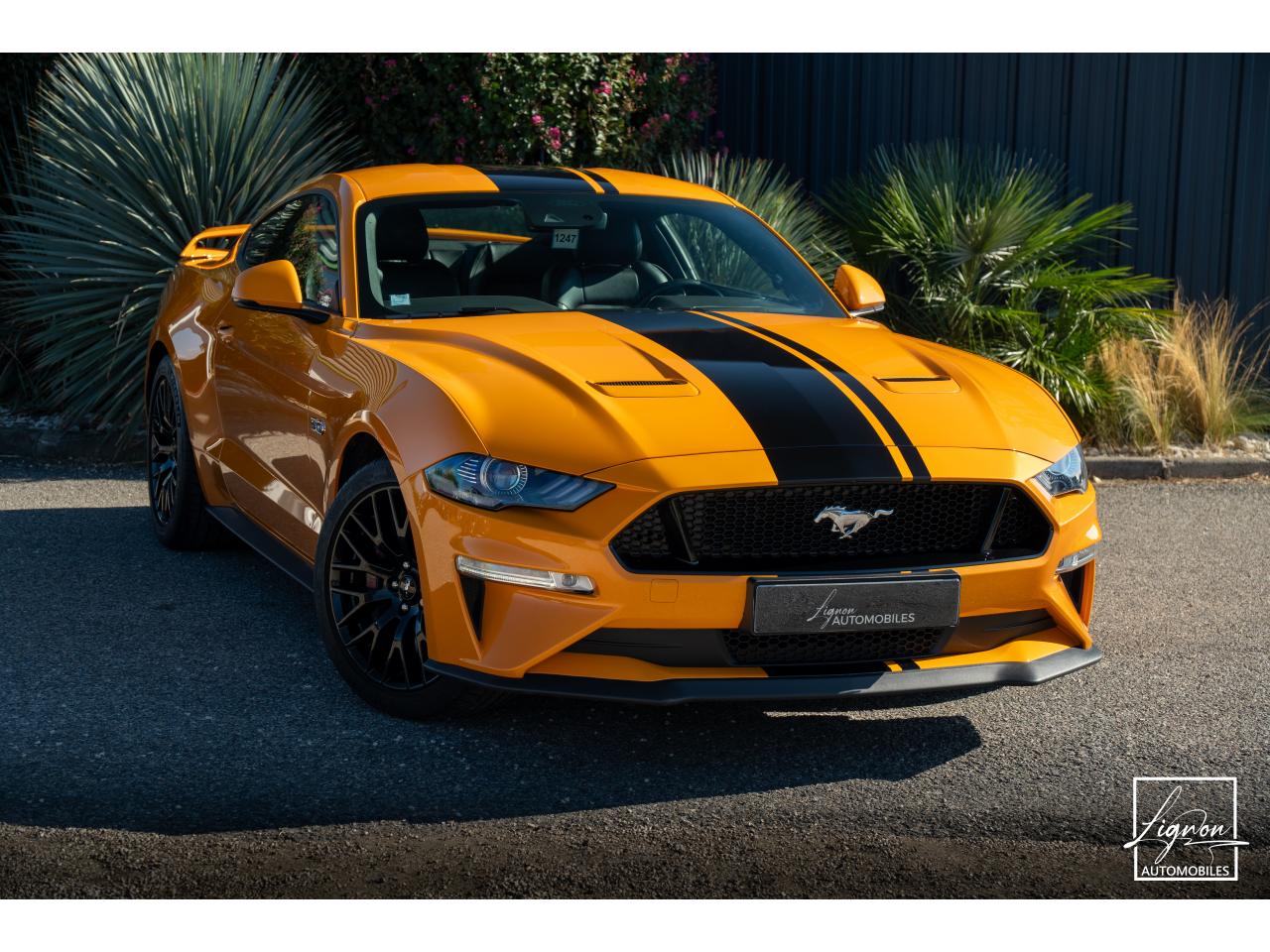 Photo FORD MUSTANG Fastback GT 5.0L V8 450CH BVM Fury B&O - 7.500km - PAS DE MALUS - à partir de 755 euros