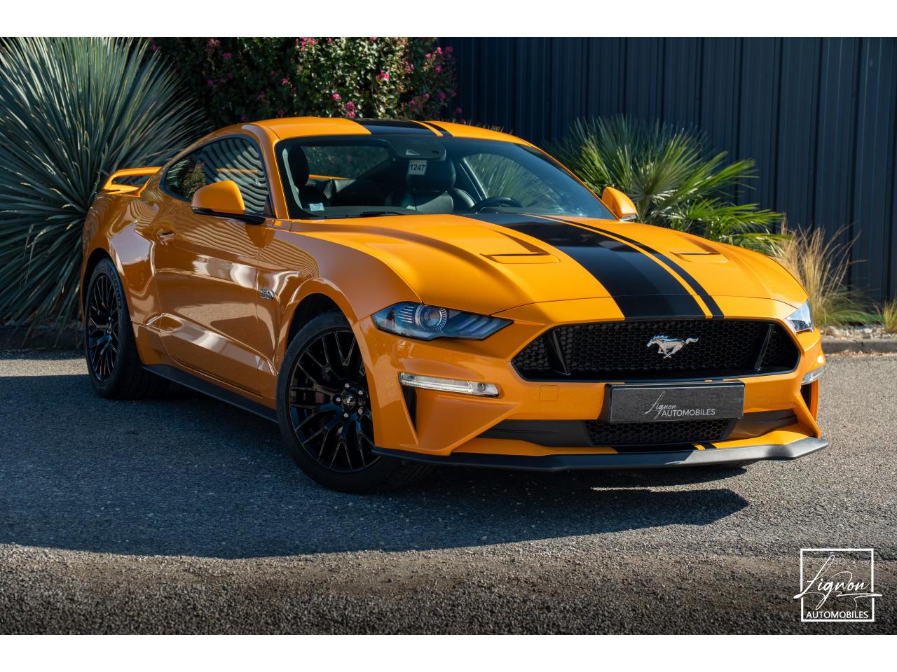 Photo FORD MUSTANG Fastback GT 5.0L V8 450CH BVM Fury B&O - 7.500km - PAS DE MALUS - à partir de 755 euros