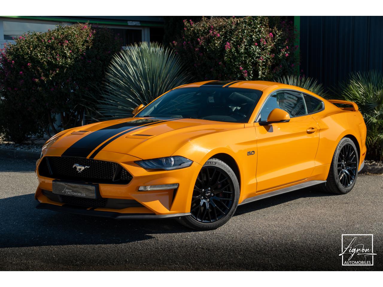 Photo FORD MUSTANG Fastback GT 5.0L V8 450CH BVM Fury B&O - 7.500km - PAS DE MALUS - à partir de 755 euros