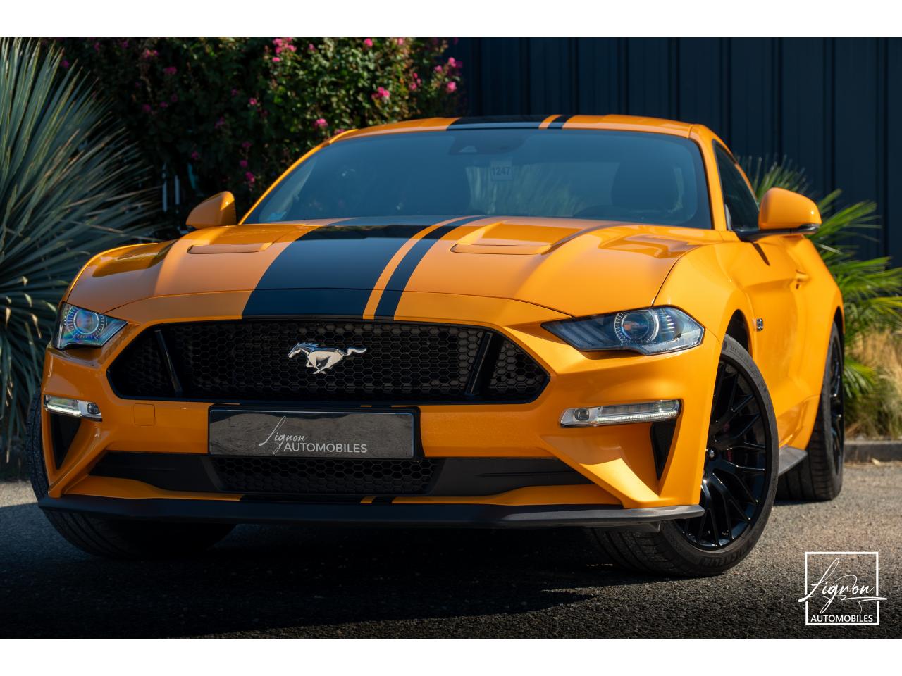 Photo FORD MUSTANG Fastback GT 5.0L V8 450CH BVM Fury B&O - 7.500km - PAS DE MALUS - à partir de 755 euros