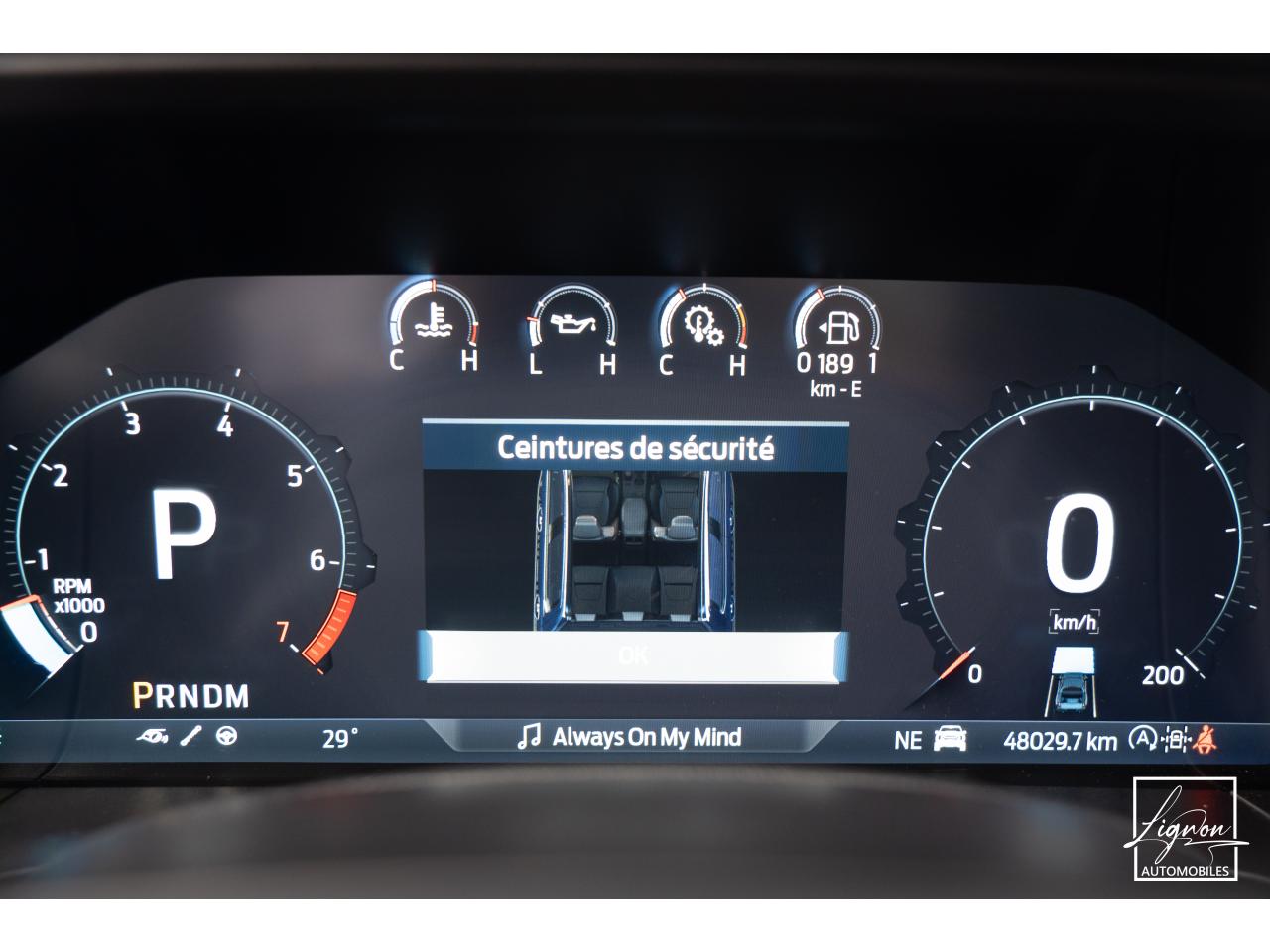 Photo FORD RANGER Raptor 3.0 V6 EcoBoost - 292 - BVA S&S e-AWD Double Cabine avec Hard Top - à partir de 530 euros