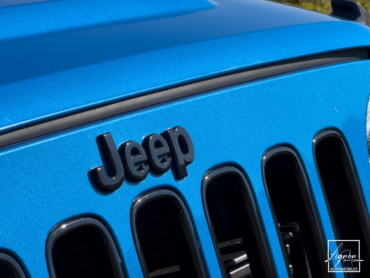 Photo JEEP WRANGLER 2.8 CRD BVM6 200 ch Unlimited Polar Edition