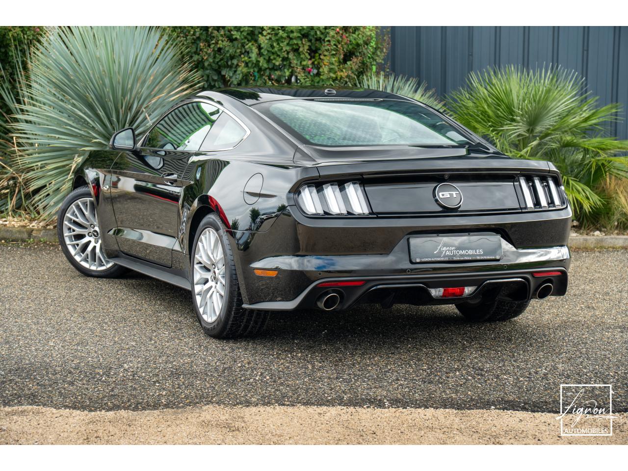 Photo FORD MUSTANG Fastback 5.0 V8 421 ch BVA - 1ER MAIN - 8 000KM !!