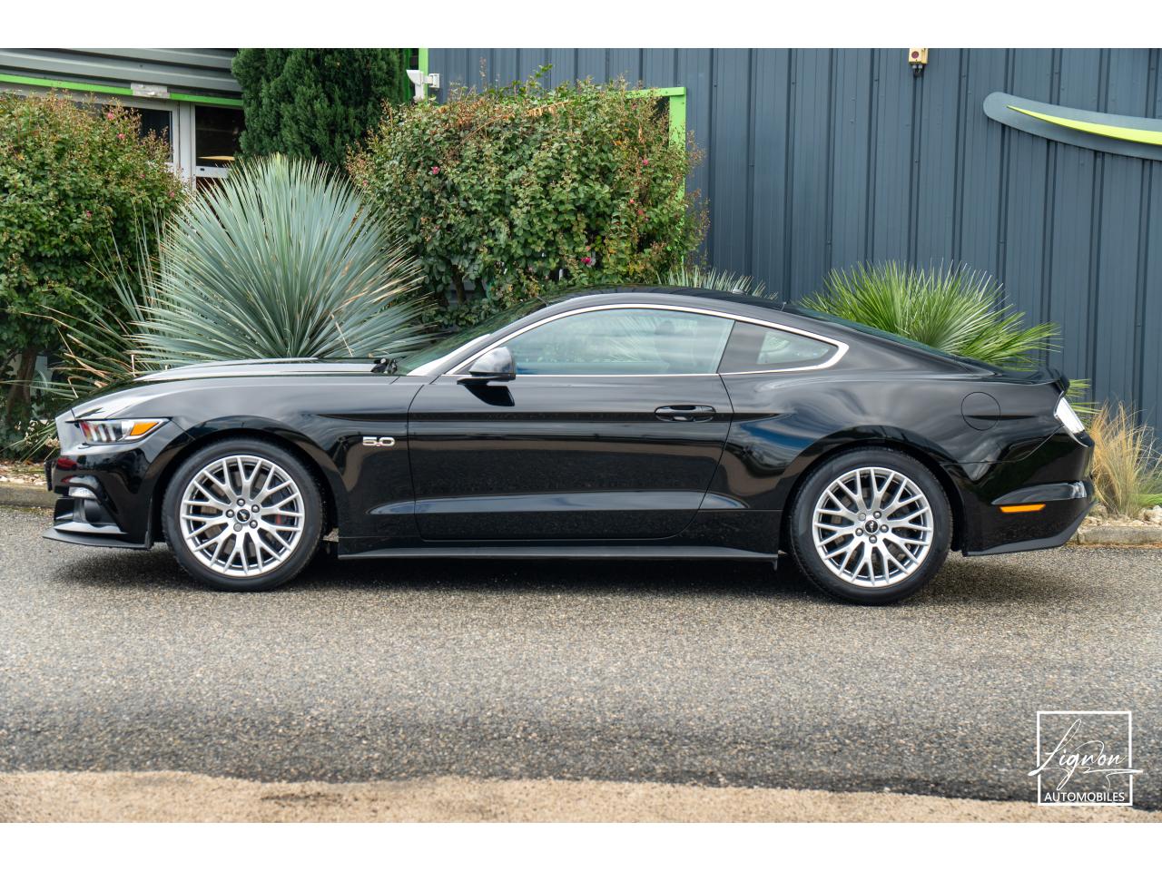 Photo FORD MUSTANG Fastback 5.0 V8 421 ch BVA - 1ER MAIN - 8 000KM !!