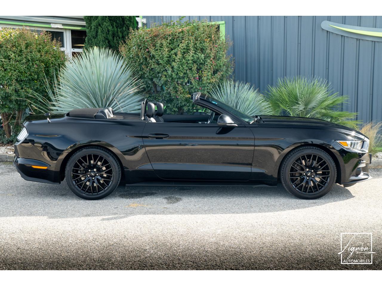 Photo FORD MUSTANG Cabriolet 2.3 EcoBoost - 317 ch - BVA6