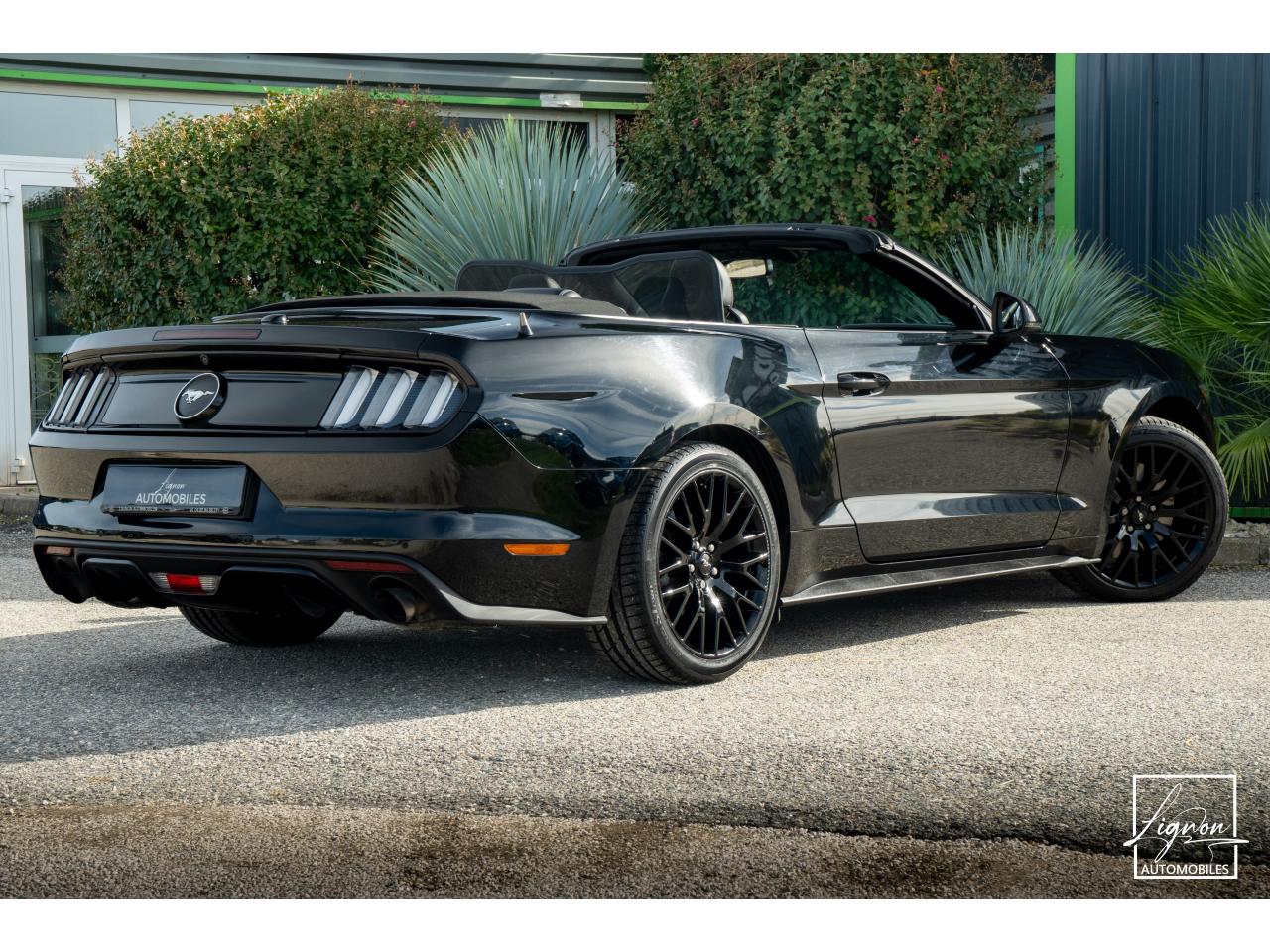 Photo FORD MUSTANG Cabriolet 2.3 EcoBoost - 317 ch - BVA6