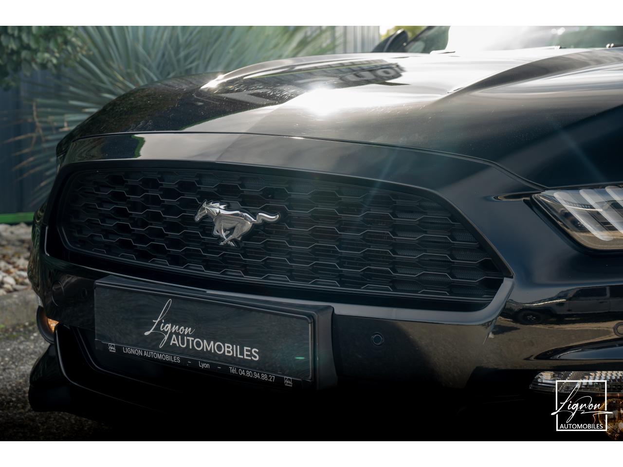 Photo FORD MUSTANG Cabriolet 2.3 EcoBoost - 317 ch - BVA6