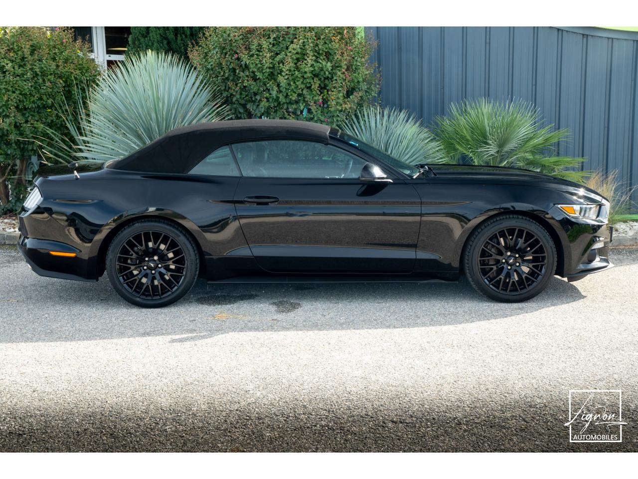 Photo FORD MUSTANG Cabriolet 2.3 EcoBoost - 317 ch - BVA6
