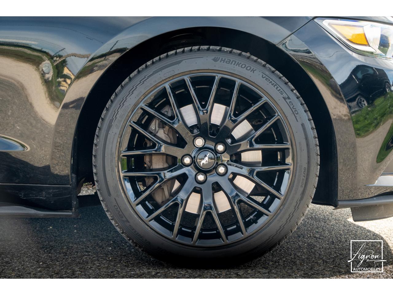 Photo FORD MUSTANG Cabriolet 2.3 EcoBoost - 317 ch - BVA6