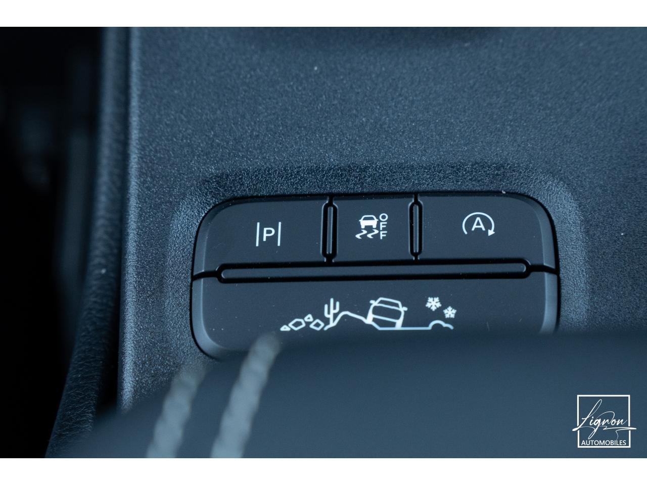Photo FORD RANGER Platinum 3.0 V6 - 240 - BVA 2026 Double Cabine 4 places - TVA Apparente
