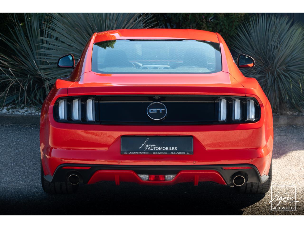 Photo FORD MUSTANG Fastback 5.0 V8 - 421 - BVA6