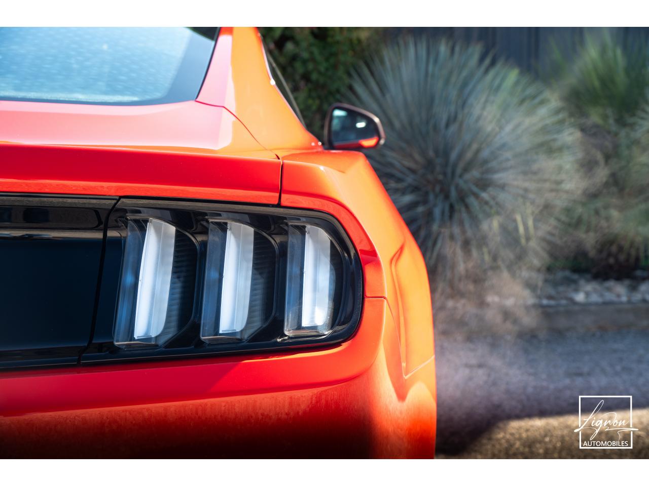 Photo FORD MUSTANG Fastback 5.0 V8 - 421 - BVA6
