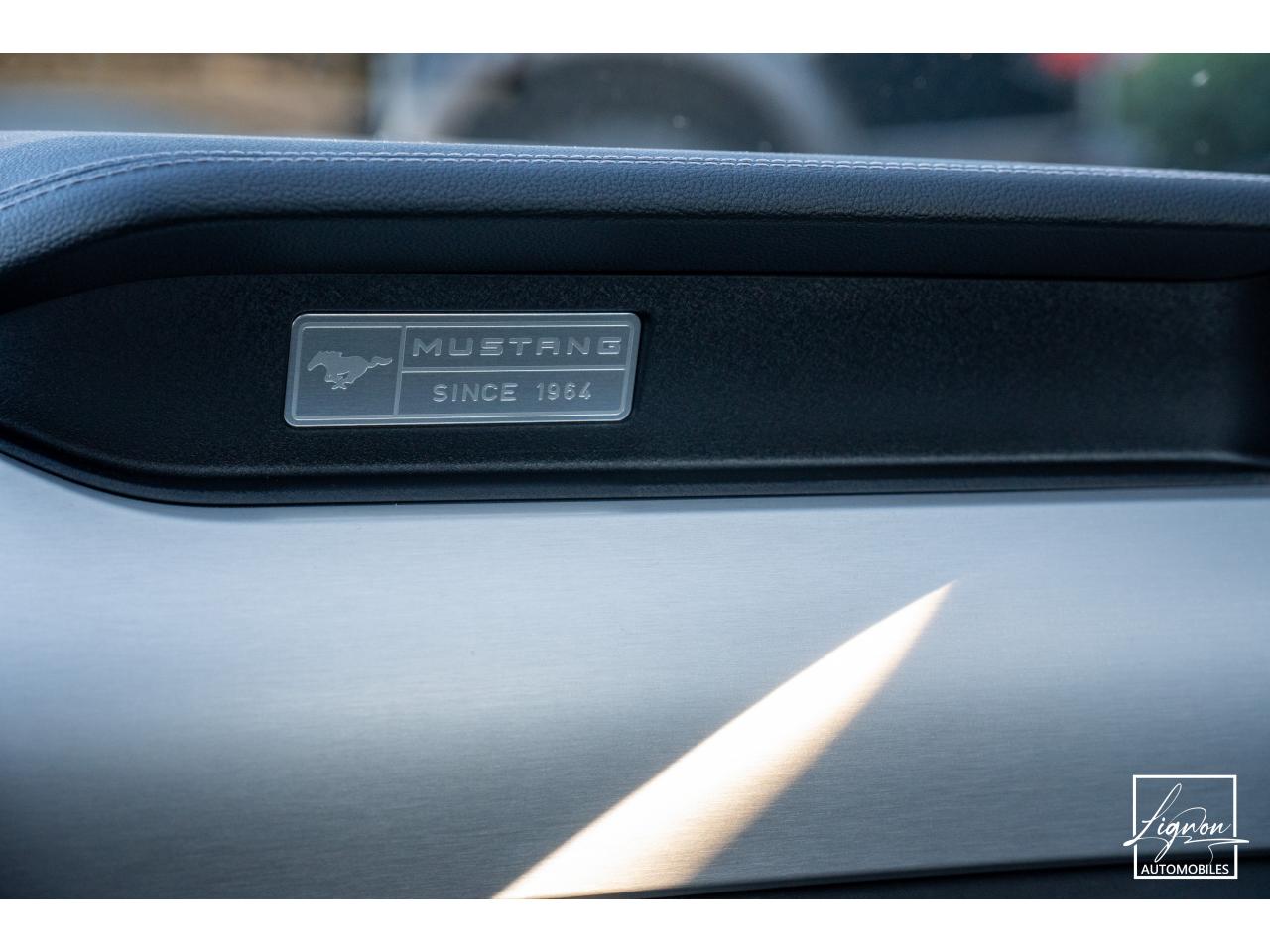 Photo FORD MUSTANG Fastback 5.0 V8 - 421 - BVA6