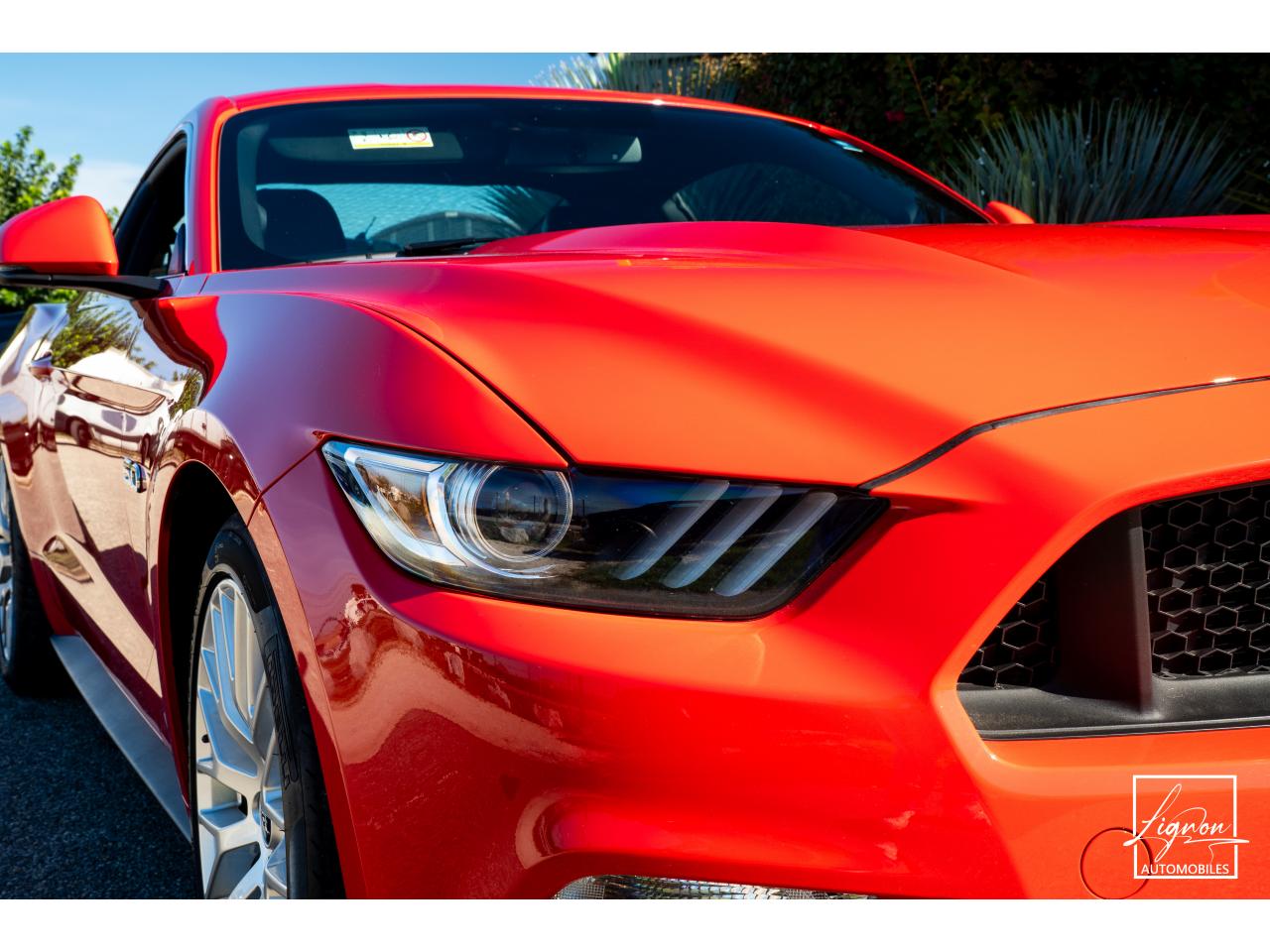 Photo FORD MUSTANG Fastback 5.0 V8 - 421 - BVA6