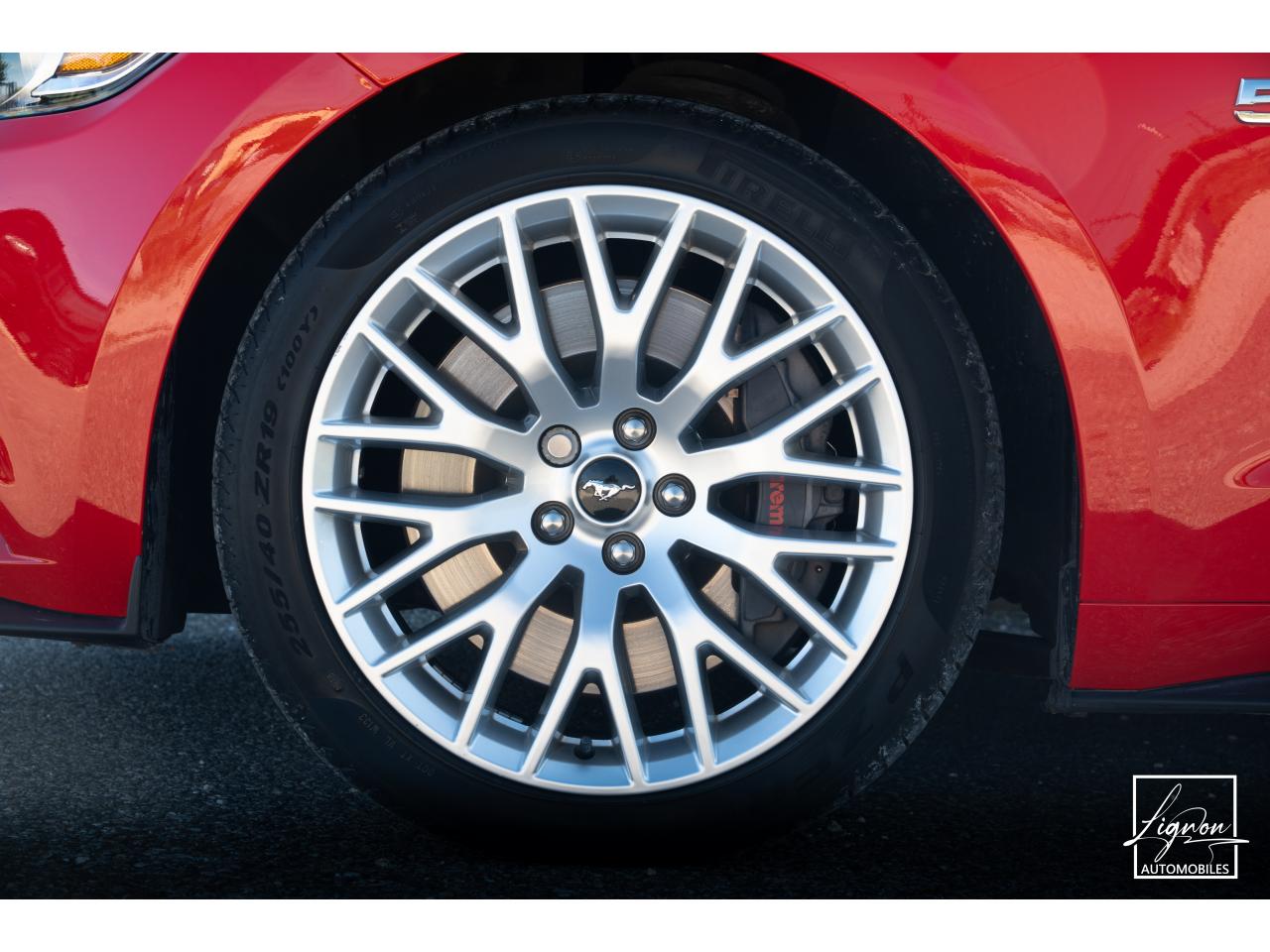 Photo FORD MUSTANG Fastback 5.0 V8 - 421 - BVA6