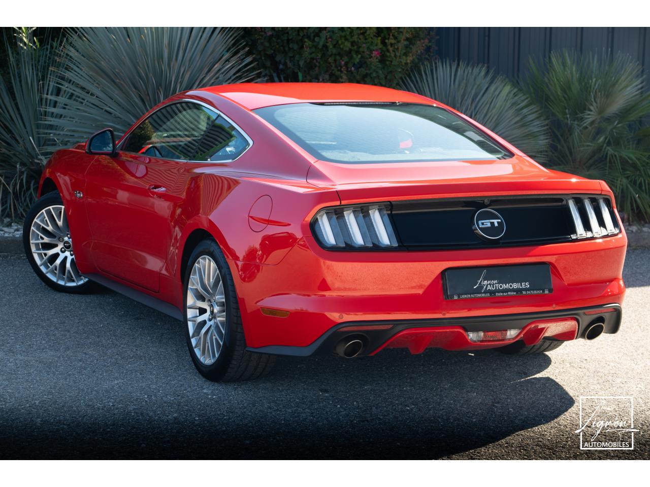 Photo FORD MUSTANG Fastback 5.0 V8 - 421 - BVA6