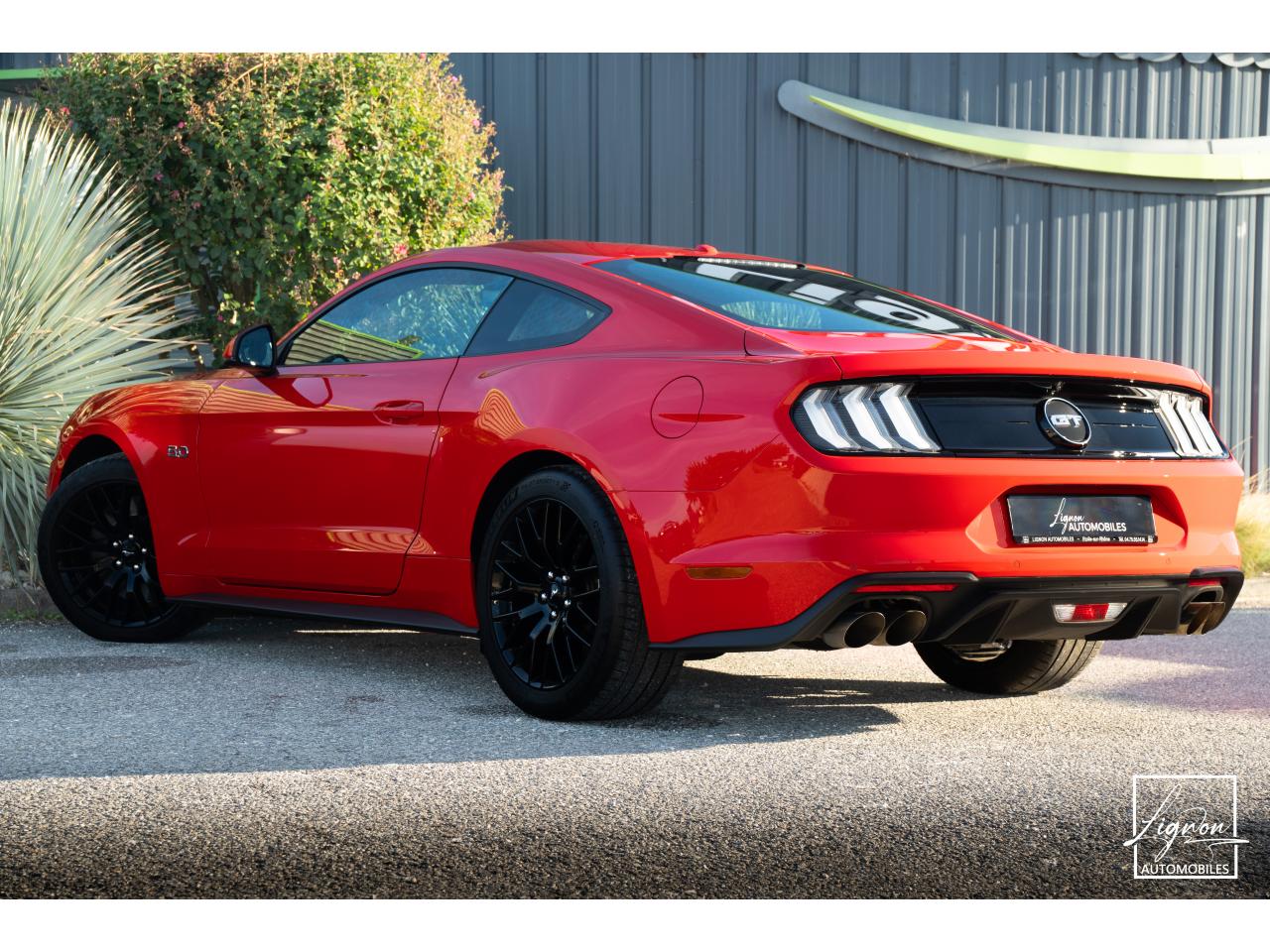 Photo FORD MUSTANG Fastback 5.0 V8 450 - BVM6 - 1ER MAIN