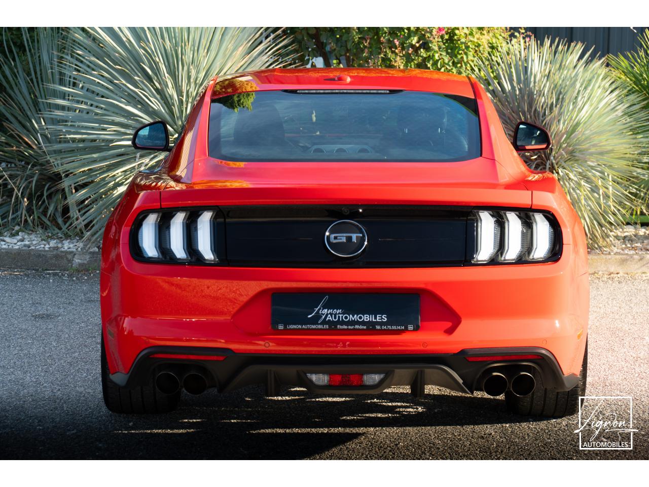 Photo FORD MUSTANG Fastback 5.0 V8 450 - BVM6 - 1ER MAIN