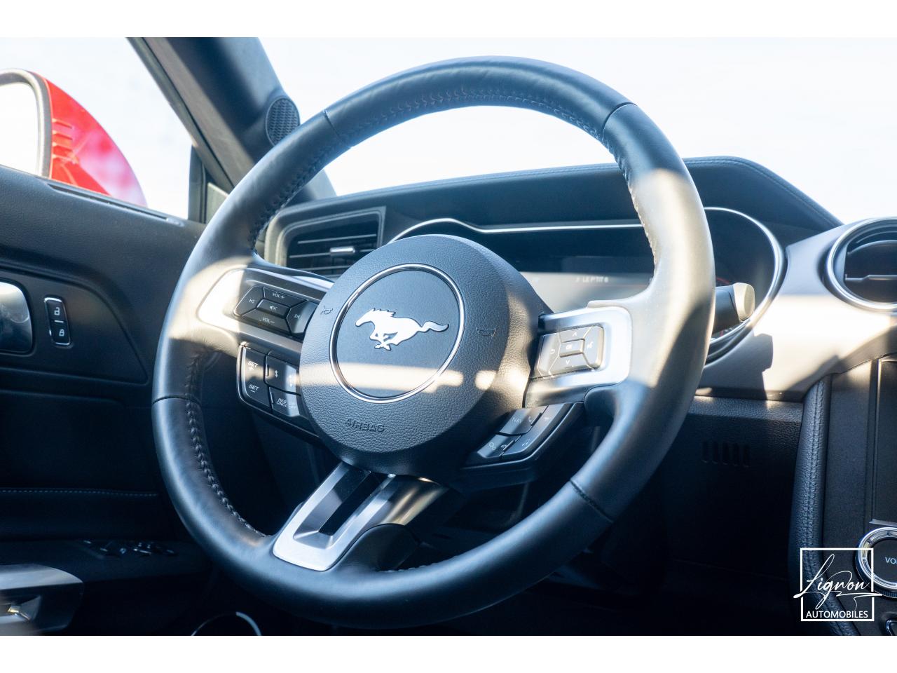Photo FORD MUSTANG Fastback 5.0 V8 450 - BVM6 - 1ER MAIN