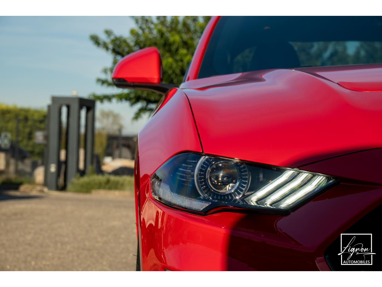 Photo FORD MUSTANG Fastback 5.0 V8 450 - BVM6 - 1ER MAIN
