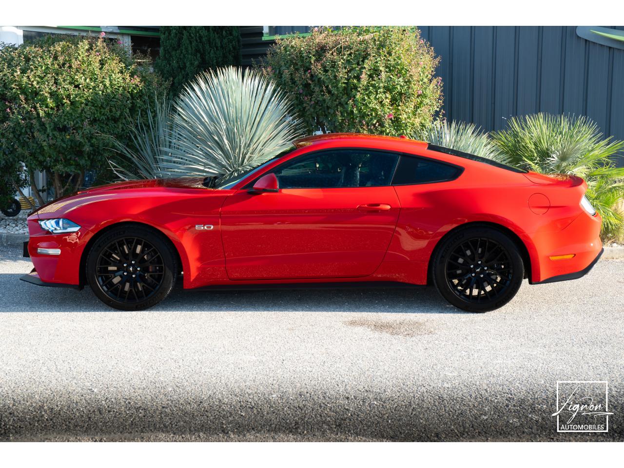 FORD MUSTANG Fastback 5.0 V8 450 - BVM6 - 1ER MAIN