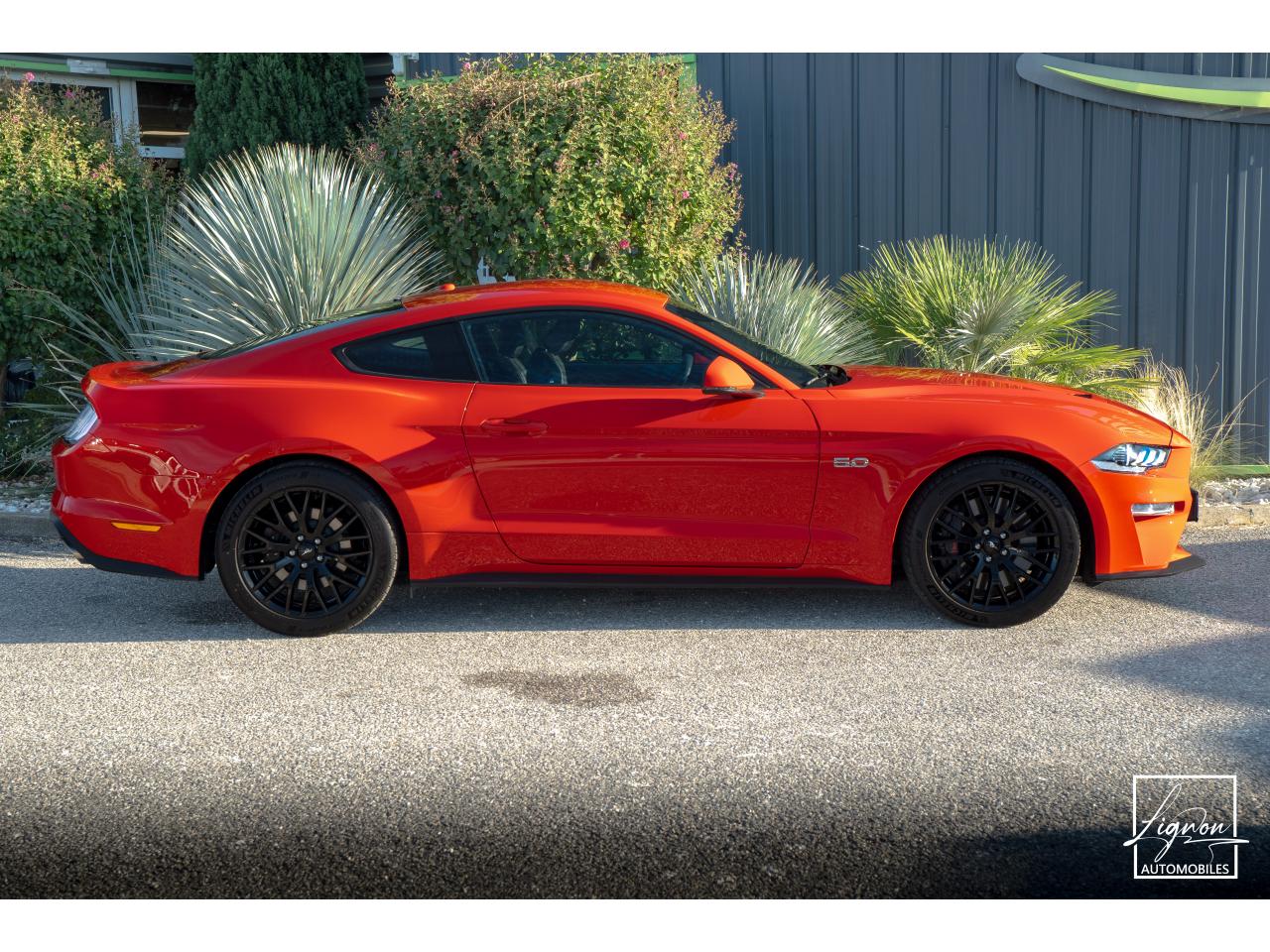 Photo FORD MUSTANG Fastback 5.0 V8 450 - BVM6 - 1ER MAIN