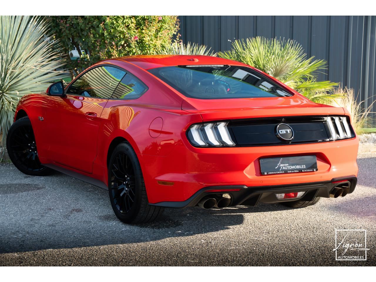 Photo FORD MUSTANG Fastback 5.0 V8 450 - BVM6 - 1ER MAIN