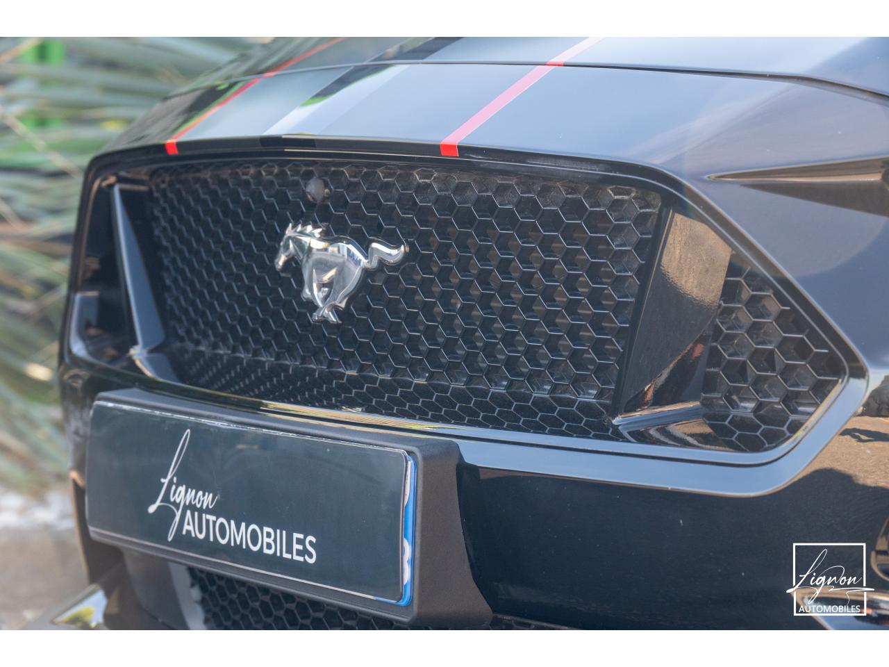 Photo FORD MUSTANG Cabriolet 5.0 V8 - 450 - BVA10