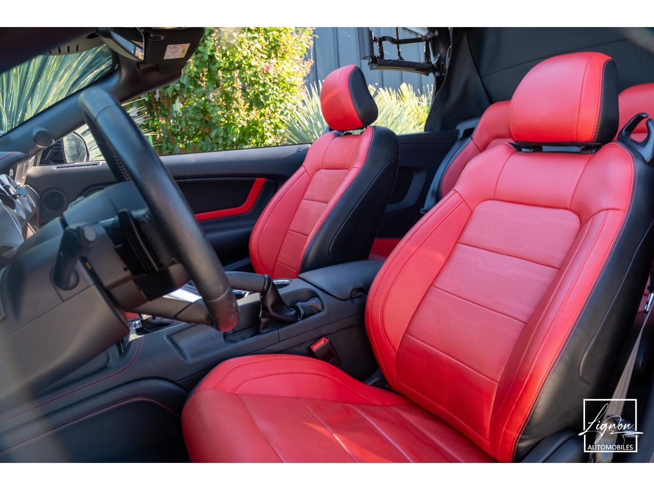 Photo FORD MUSTANG Cabriolet 5.0 V8 - 450 - BVA10